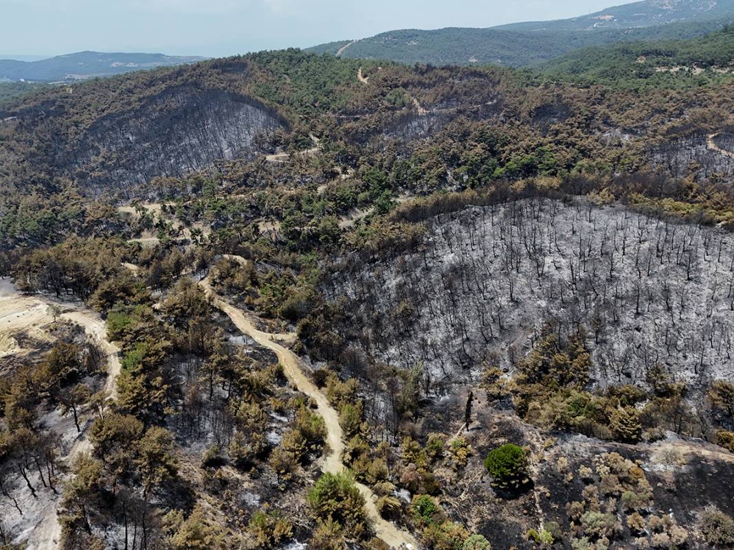 Kahreden manzara! Bornova'da yanan ormanlar dronla görüntülendi 24